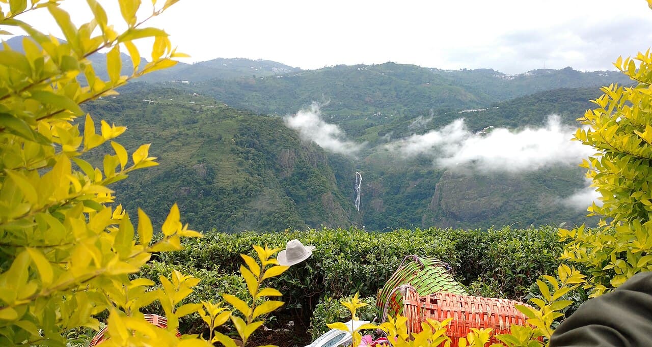 Catherine Falls