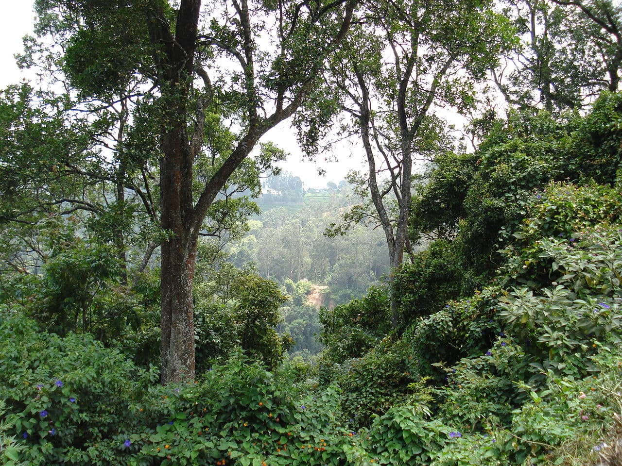 Hidden Valley Trek