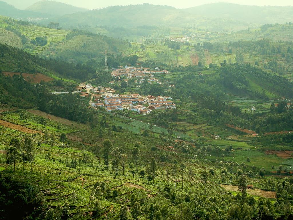 Kil Kotagiri & Aravenu Tea Trails