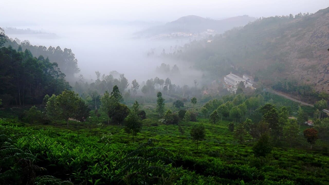 Kodanad Viewpoint
