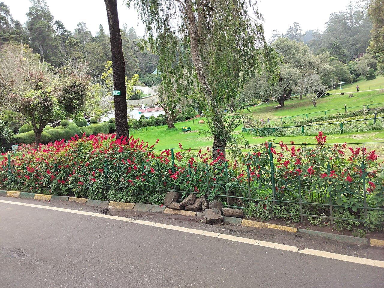 Government Botanical Garden